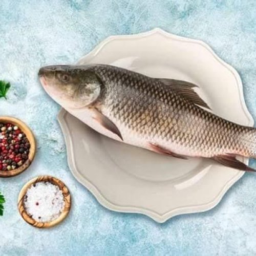 Fresh Rohu Fish