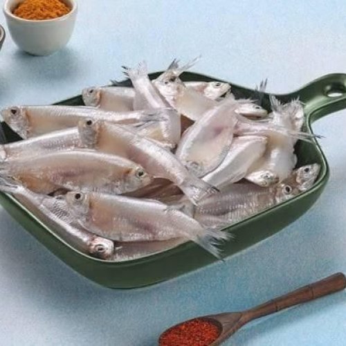 Fresh Small Silver Fish