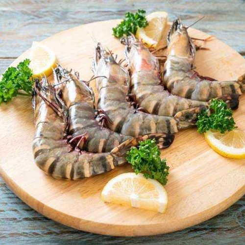 Fresh Tiger Prawn