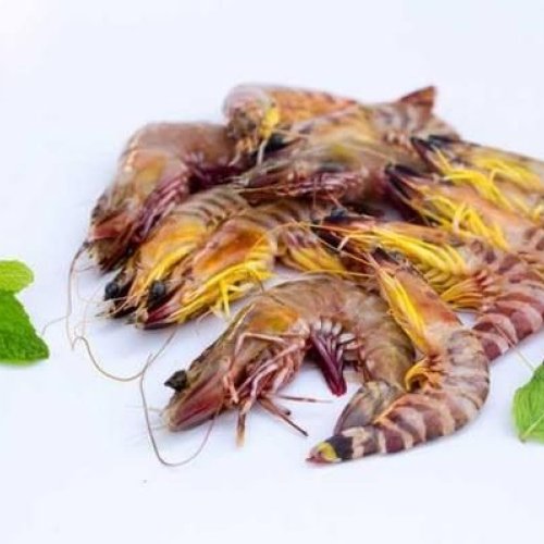 Fresh Whole Flower Prawn