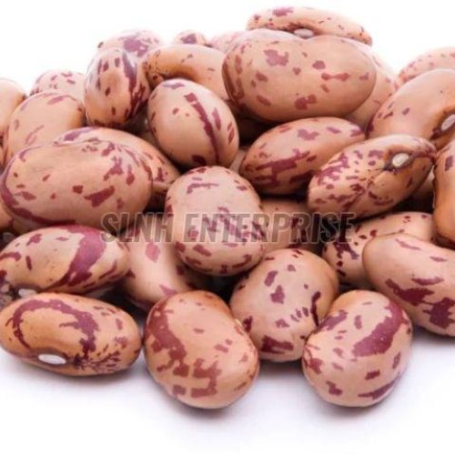 Dried Pinto Beans