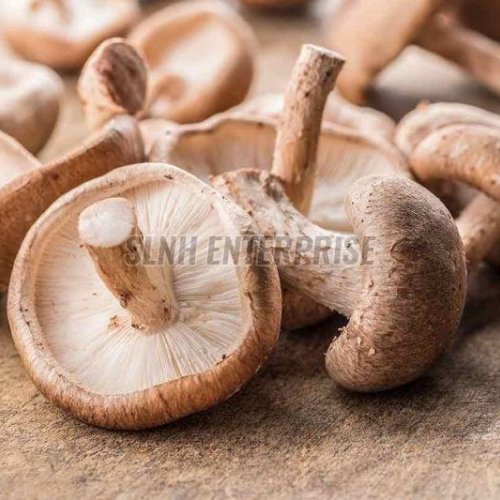 Fresh Shiitake Mushroom