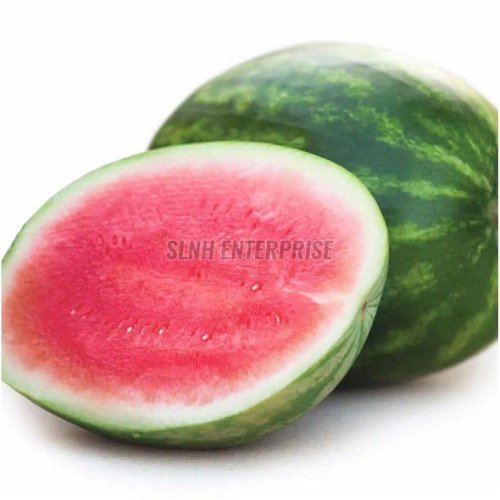 Fresh Watermelon