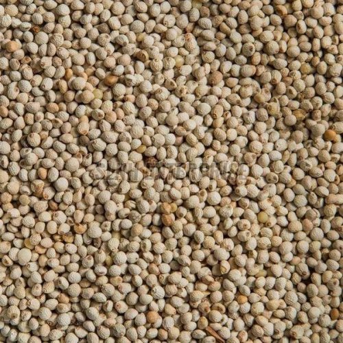 Organic Perilla Seeds