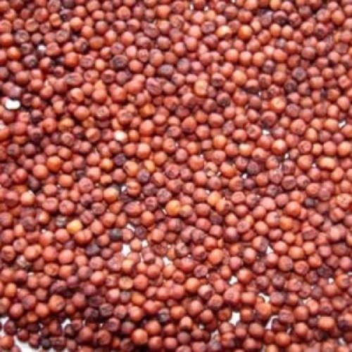 Finger Millets