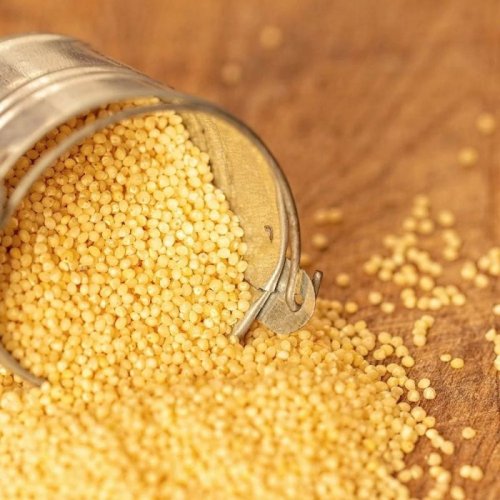 Foxtail Millets