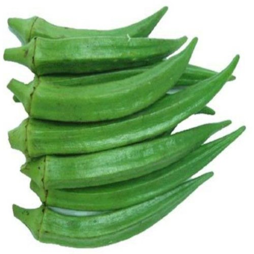 Fresh Okra