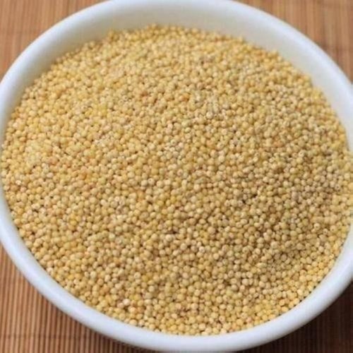 Kuthiraivali Millets