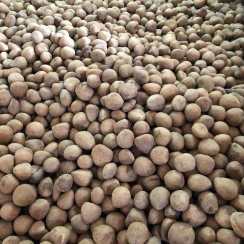 B Grade Dry Coconut Copra