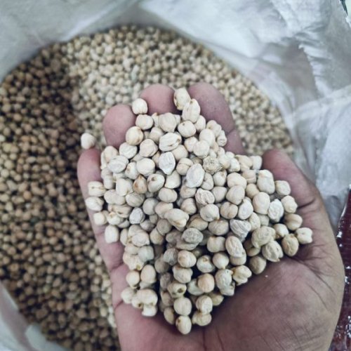 Organic Kabuli Chana