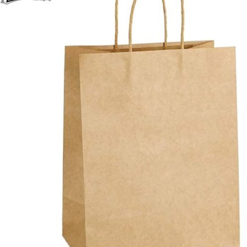 Plain Kraft Paper Bag