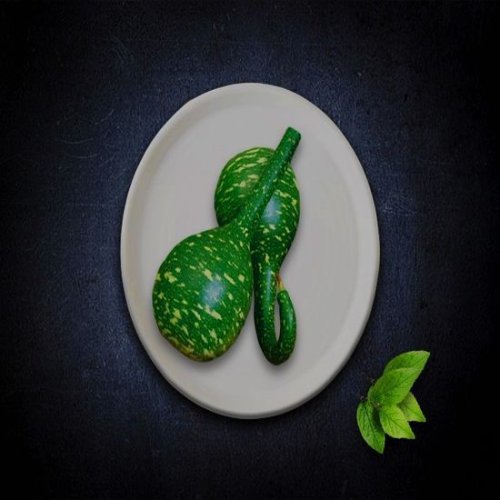 Frozen Green Gourd