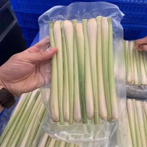 Frozen Lemongrass