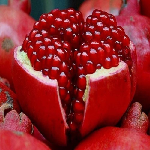 Frozen Pomegranate