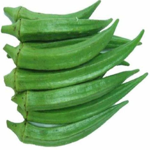A Grade Fresh Okra