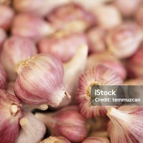 Garlic.