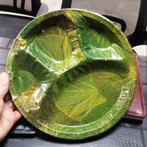 4 CP Disposable Printed Paper Plate