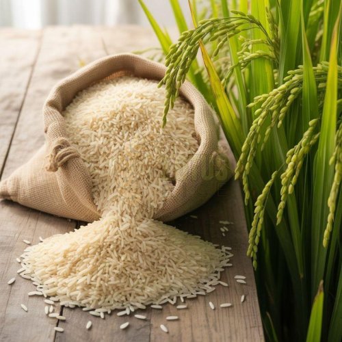 1509 Steam Sella Basmati Rice