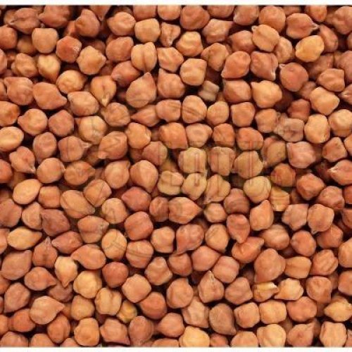 Black Chickpeas