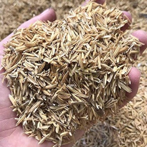 Rice Husk