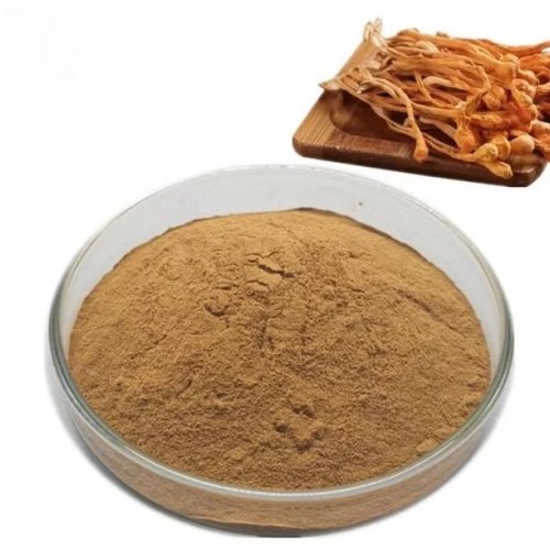 Brown Cordyceps Militaris Powder