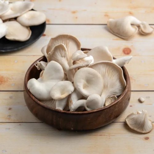 Fresh Oyster Mushroom