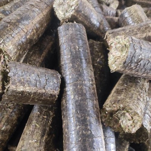 Organic Biocoal Briquettes