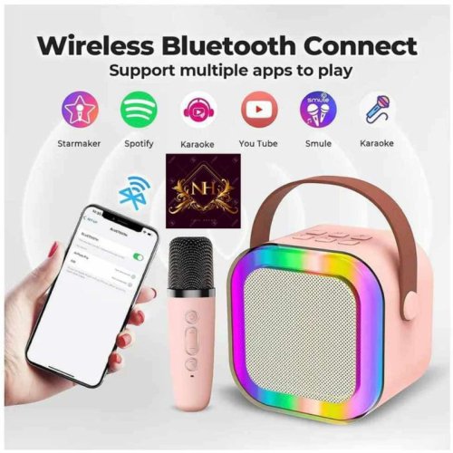 Portable Bluetooth Speaker with Wireless Mic