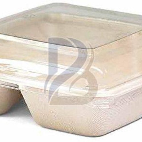 2 Compartment Eco Bagasse Square Plate
