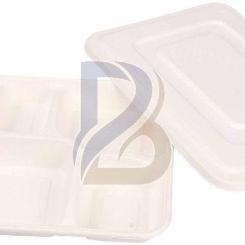 5 Compartment Eco Bagasse Plate