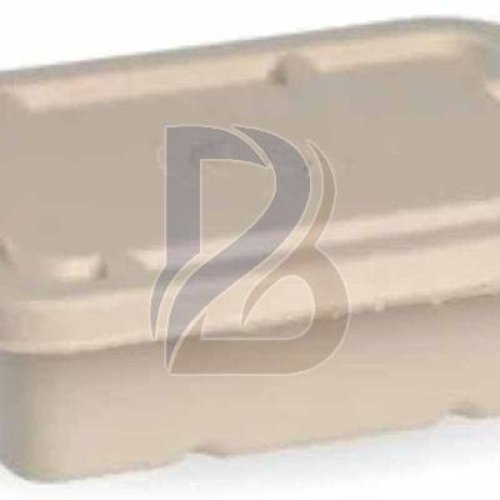 Eco Rectangular Bagasse Container