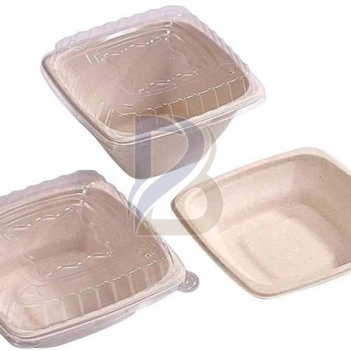 PET Lid Square Bagasse Bowl