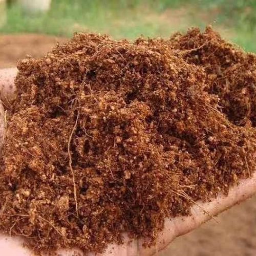Coir Pith Powder