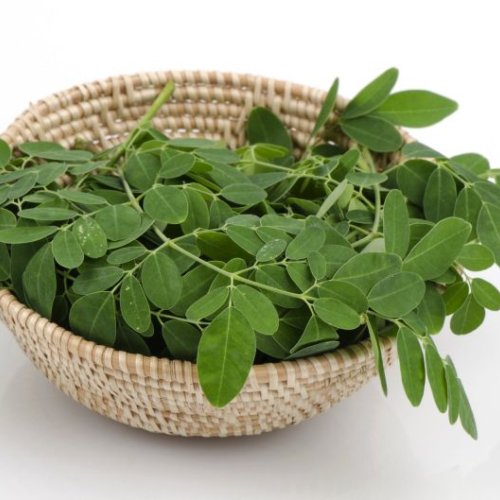 Fresh Moringa Leaves