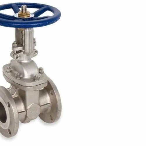 Stainless Steel Gate Valves