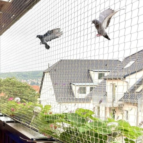 Bird Net Installation Service