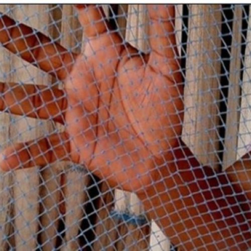 Rat Protection Net Installation Service