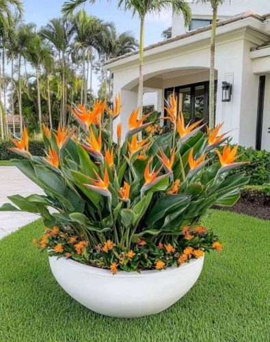 Designer Garden Marble Planter