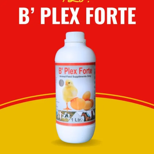B Plex Forte Poultry Feed Supplement