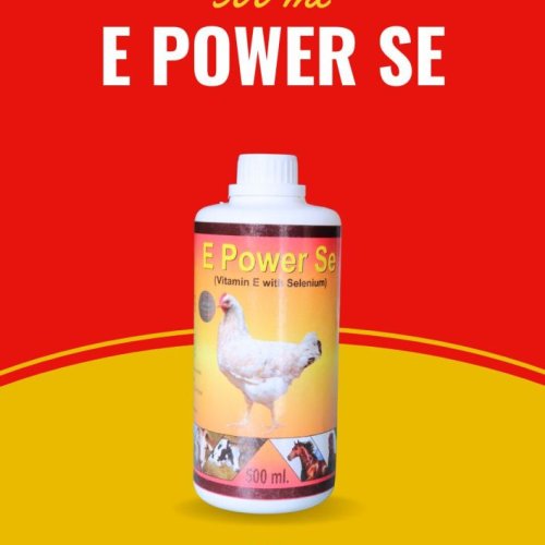 E Power SE Poultry Feed Supplement