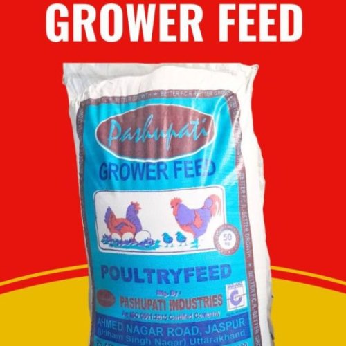 Layer Grower Poultry Feed
