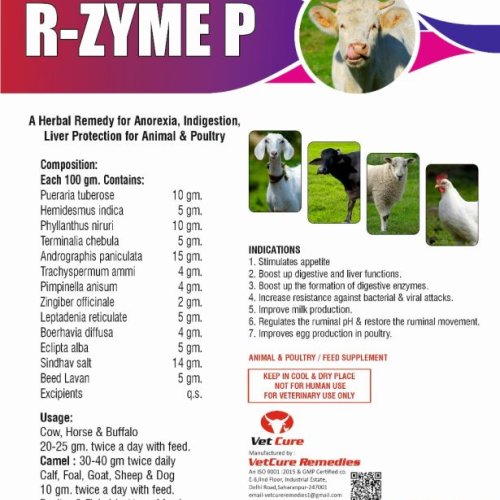 R-ZYME P