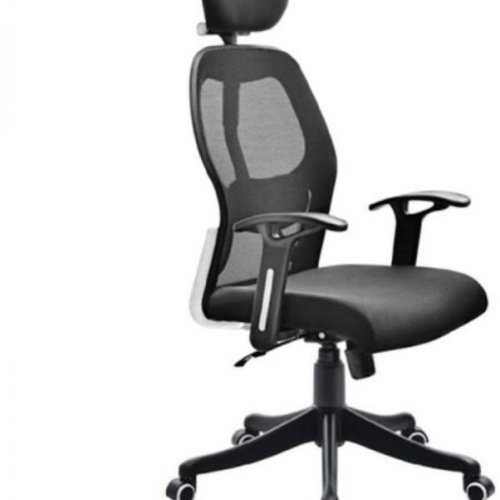 Ergonomic Office Chair with Lumbar Support