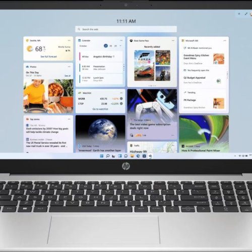 HP 255 39.6 Cm G10 Notebook Laptop