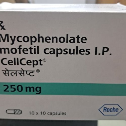 Cellcept 250mg Mycophenolate Mofetil Capsule