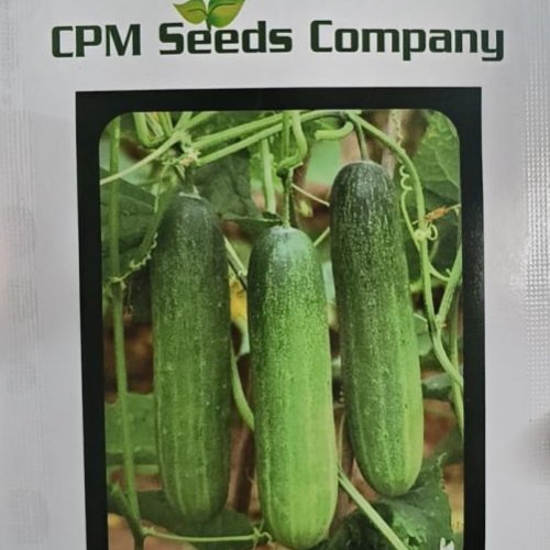 Cucumber Seeds