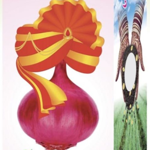 Sarpanch Gulabi Brand Onion Seeds