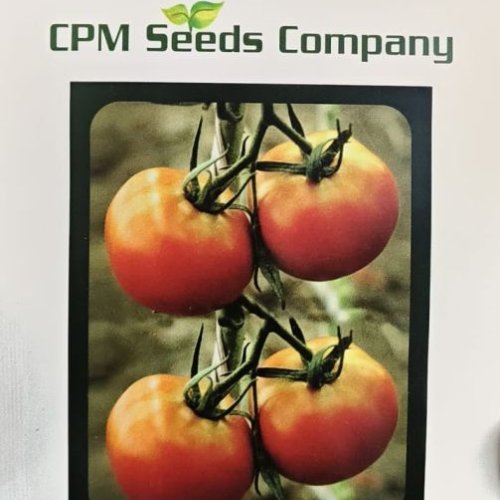 Tomato Seeds