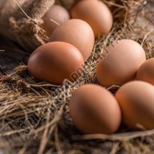 Poultry Eggs
