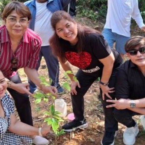 Agarwood Plantation Service